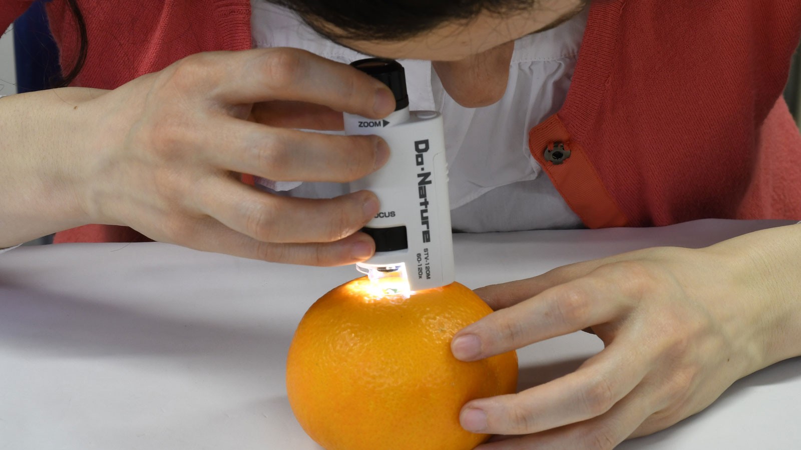 Kenko Tokina Pocket Microscope 60-120x