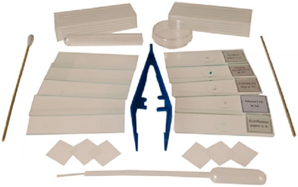 Euromex MicroBlue 1051 - 40x/100x/400x