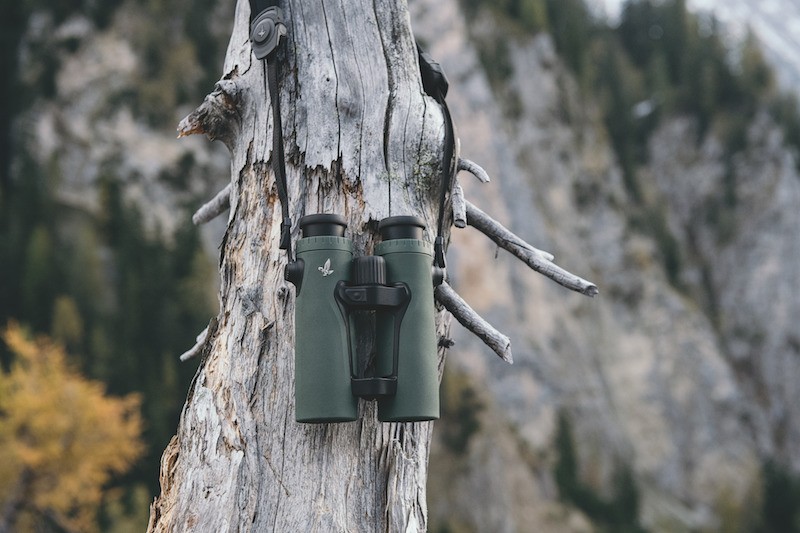 Swarovski EL RANGE 8x42 W B