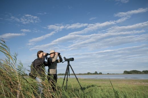 Swarovski ATX 25-60x65