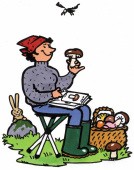 Walkstool Comfort 45 L