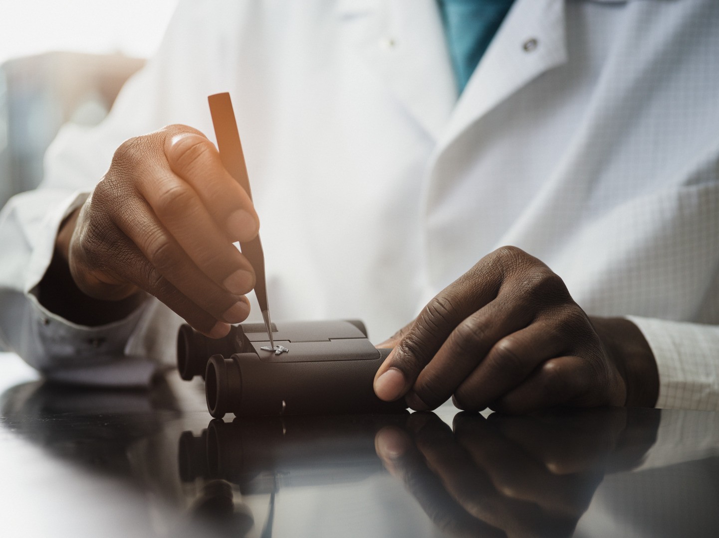 Swarovski CL CURIO 7x21 Noir Concept-Terrain