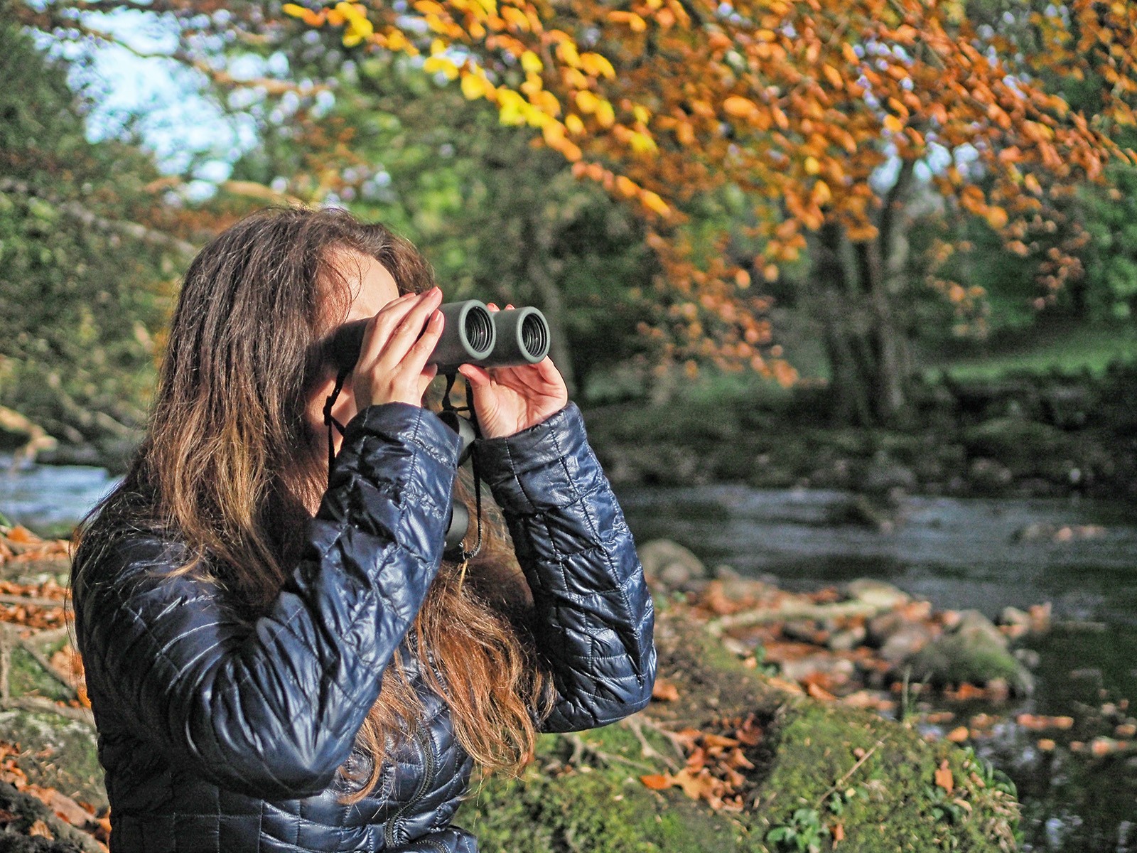 Kowa TSN-501 avec zoom 20-40x