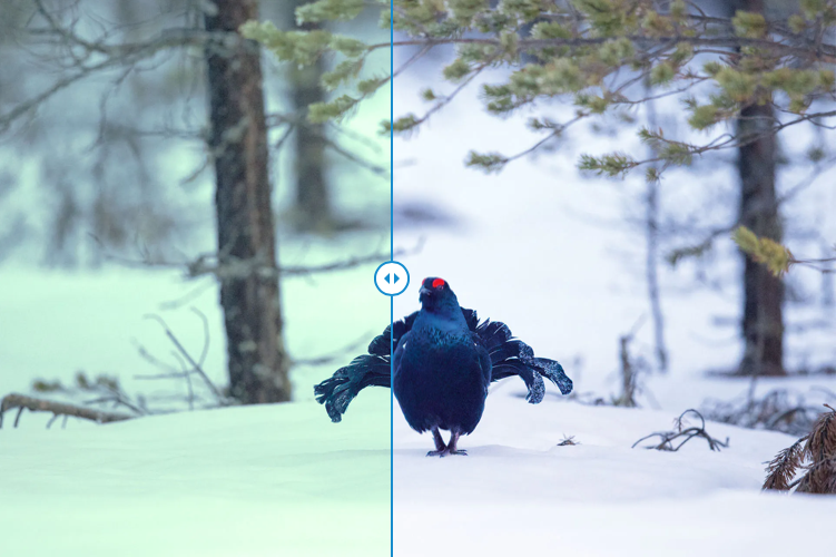 Zeiss VICTORY SF 8x42 - Black new model ----- 52 42 23