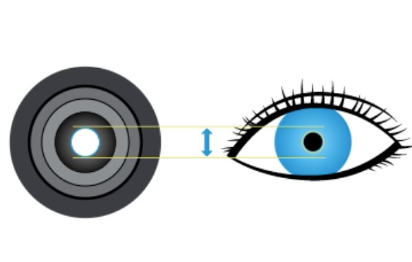 Zeiss VICTORY SF 8x42 - Black new model ----- 52 42 23