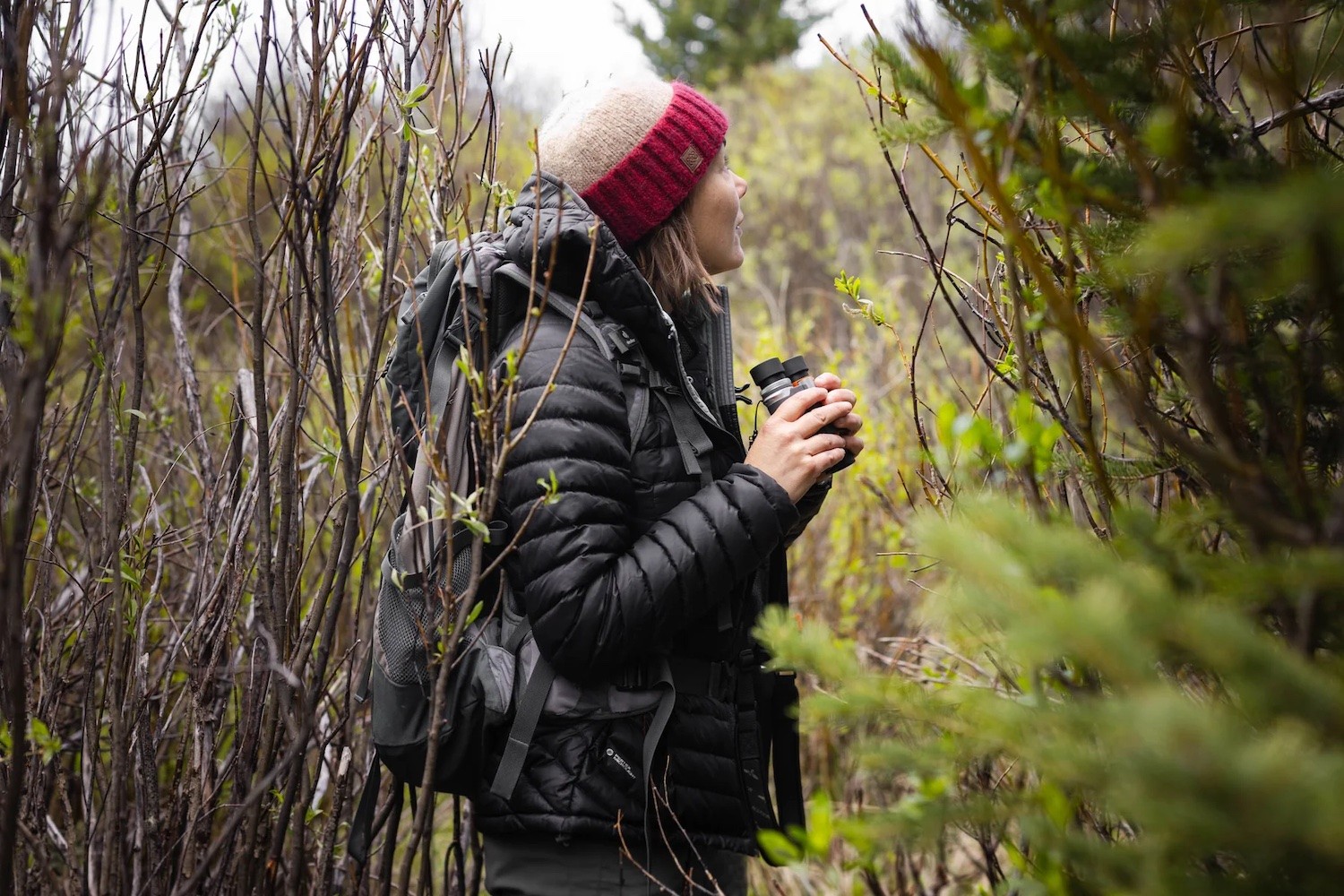 Maven Optics - Mountain - 8x25 Concept-Terrain