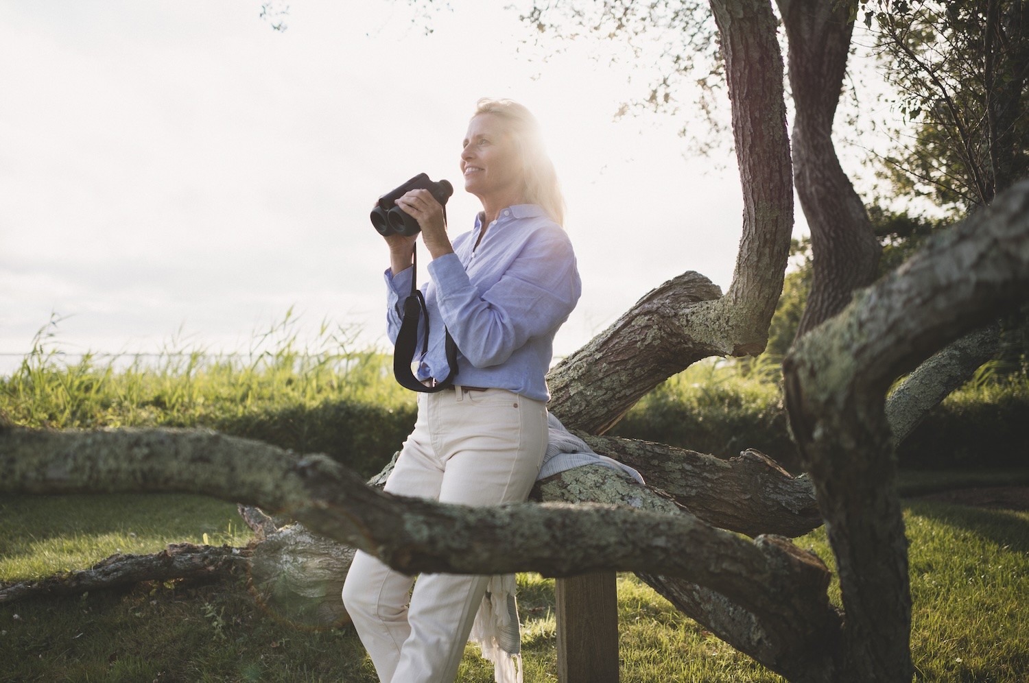 Swarovski AX Visio 10x32