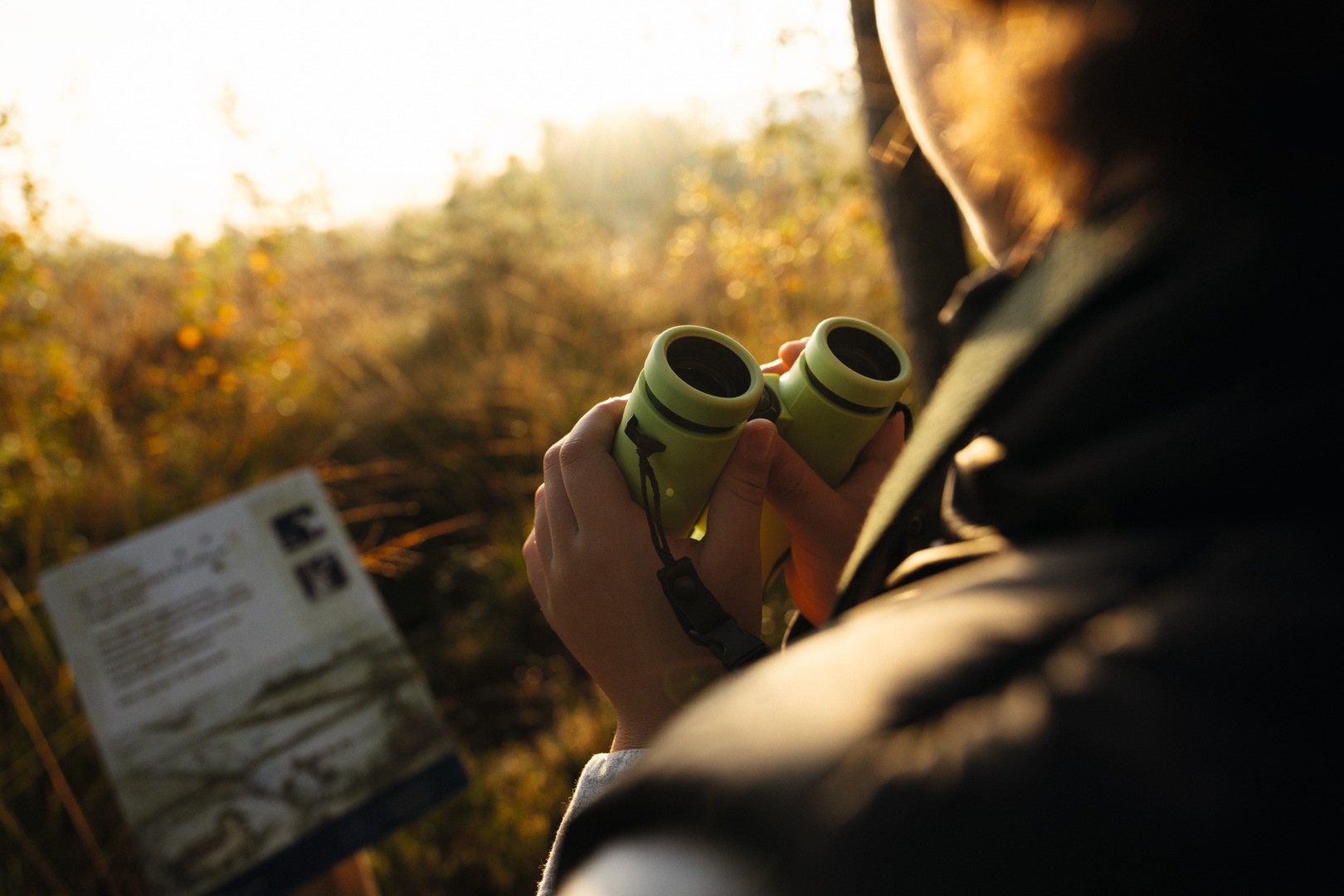 Swarovski CL Pocket 8x25 B - Noir