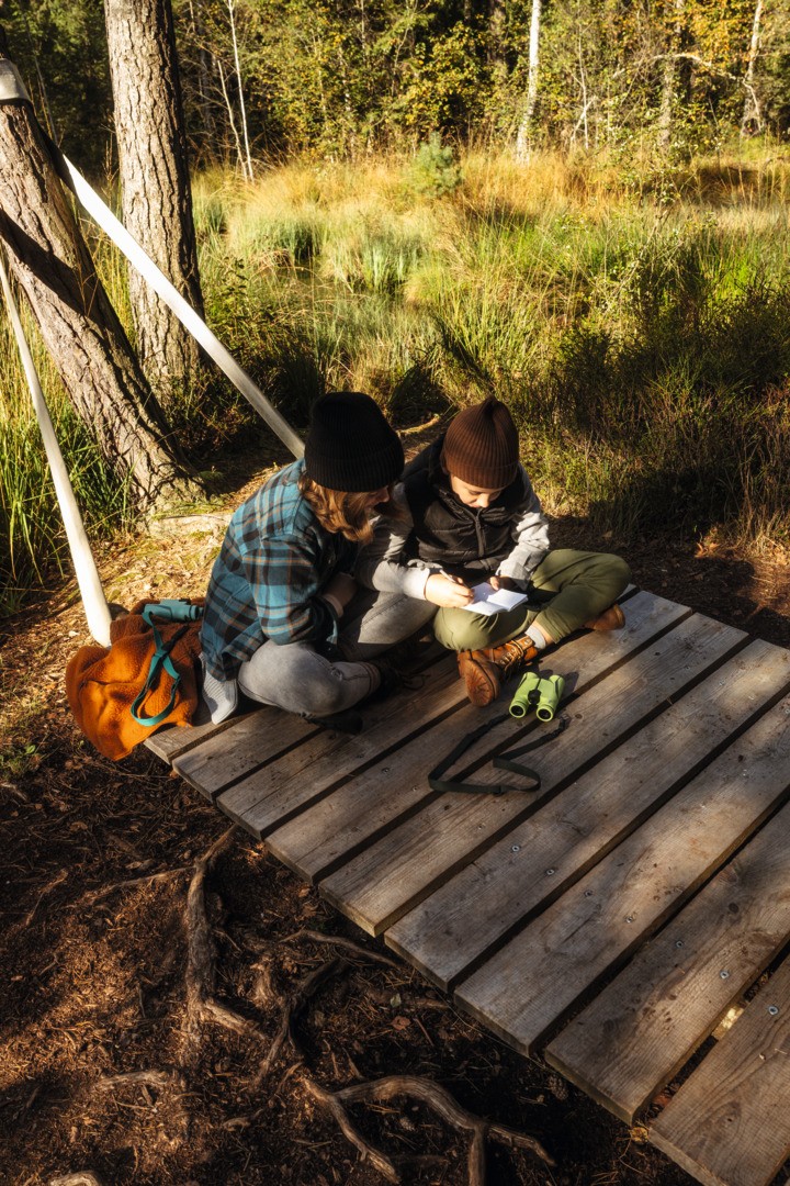 Swarovski MY Junior 7x28 Glacier Blue