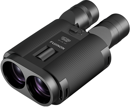 Fujinon Techno-Stabi TS-L 20x40 Concept-Terrain