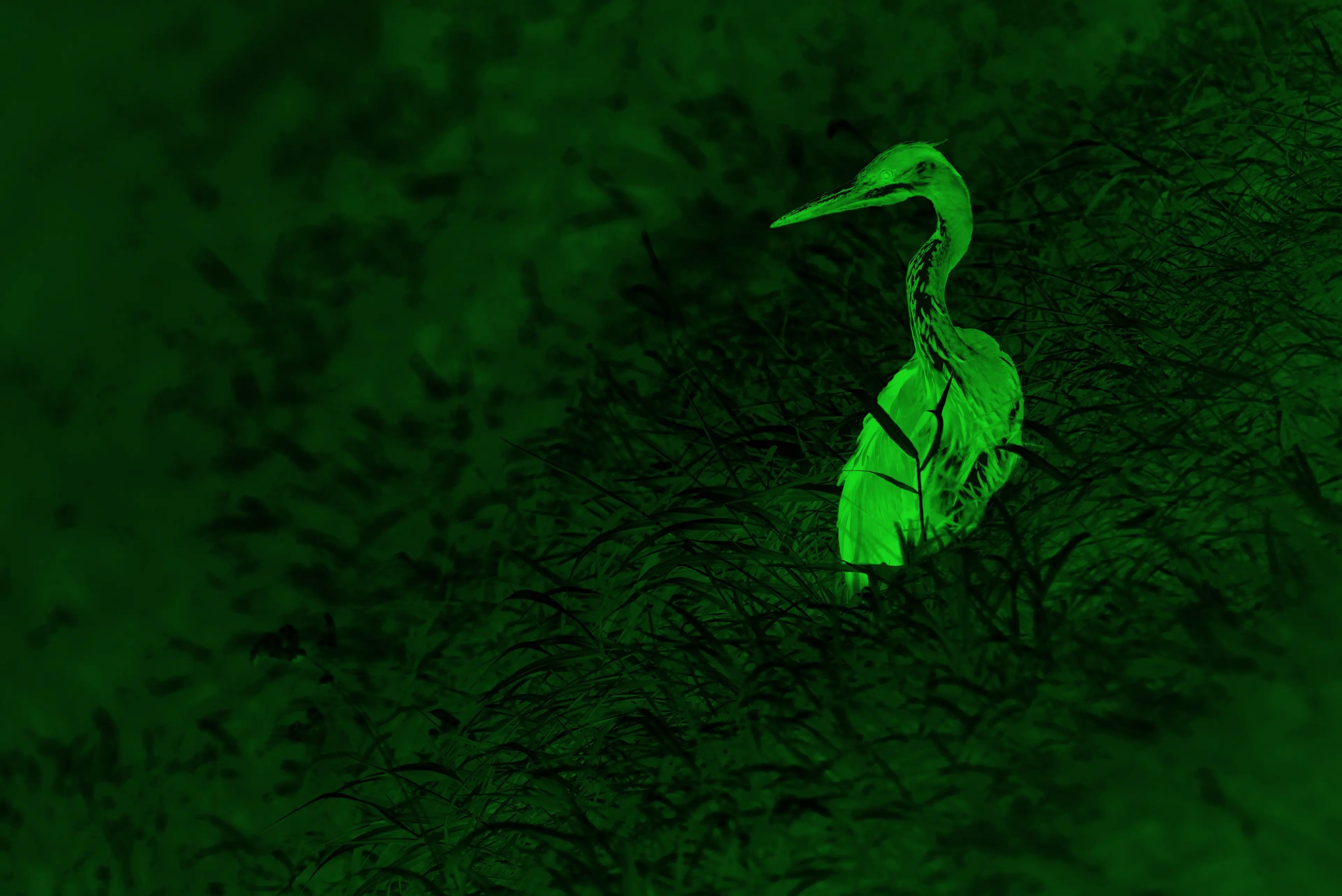 Leica Ultravid 8x20 BR