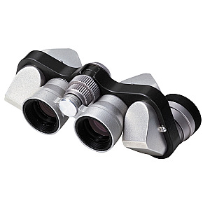Nikon - 6x15 M CF Silver