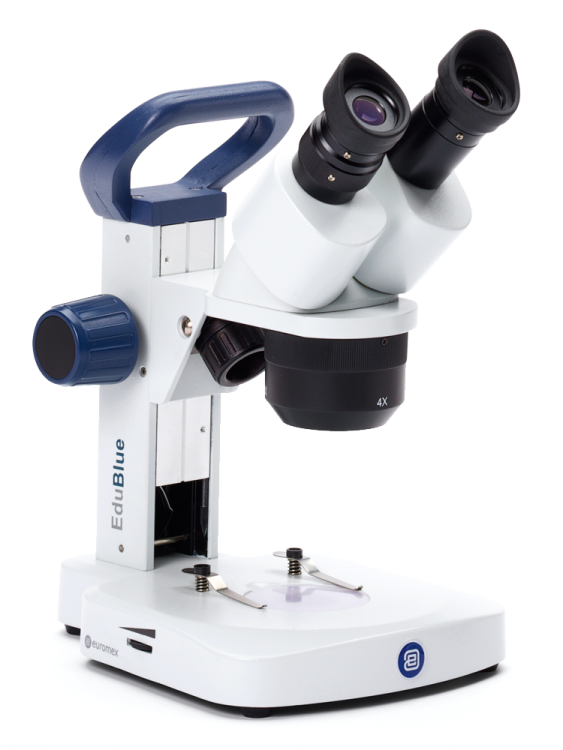 Euromex EduBlue 1302-S - 10x/30x